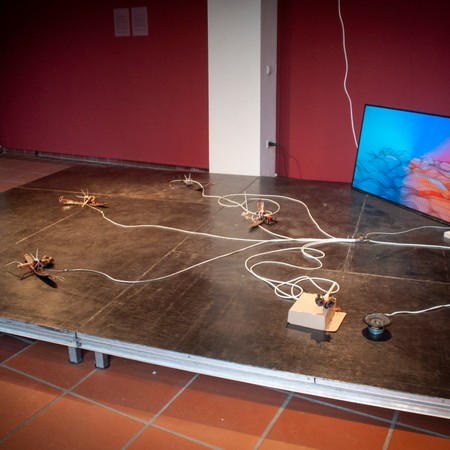 Installation photo Ruido_Perla_Selection-12